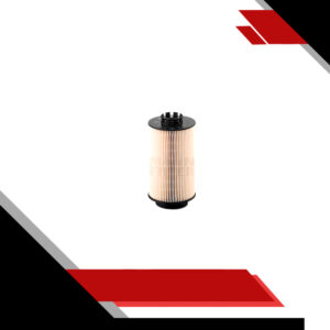 Filtro de Combustible