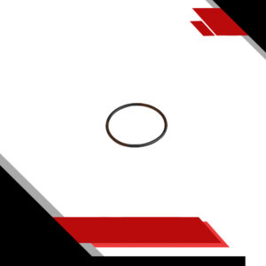 O-Ring