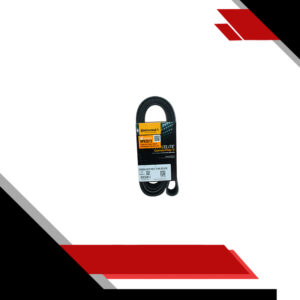 CORREA MULTICANAL 9PK2015