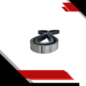 CORREA DOBLE DEL TERMOKING