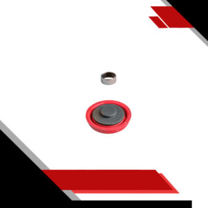 KIT DE REPARACION DE EMPUJADOR Y PISTON DE PINZA